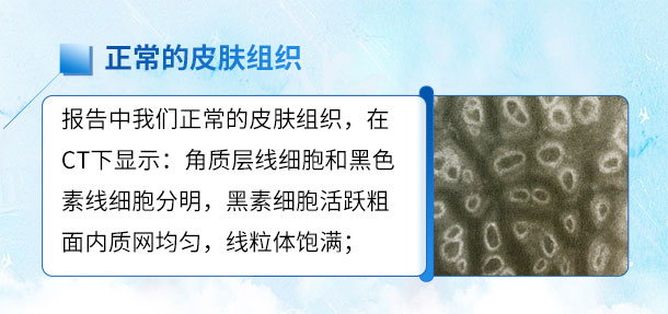 北京专家来啦!!特邀北京白癜风专家——苏有明教授将于4月5日来院会诊